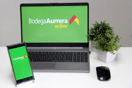 Mexico City, Mexico - Jan 28, 2025: Bodega Aurrera online for mobile and laptop shopping is a...