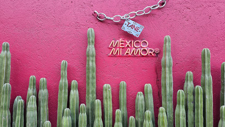Mexico City, Mexico - Jan 14, 2026: TANE Masaryk in Polanco is a boutique of the prestigious Mexican...