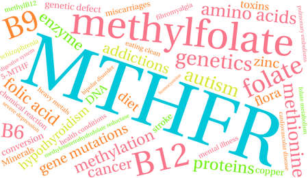 MTHFR word cloud on a white background.のイラスト素材