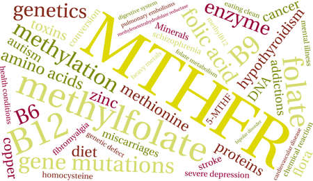 MTHFR word cloud on a white background.のイラスト素材
