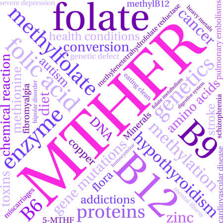 MTHFR word cloud on a white background.のイラスト素材