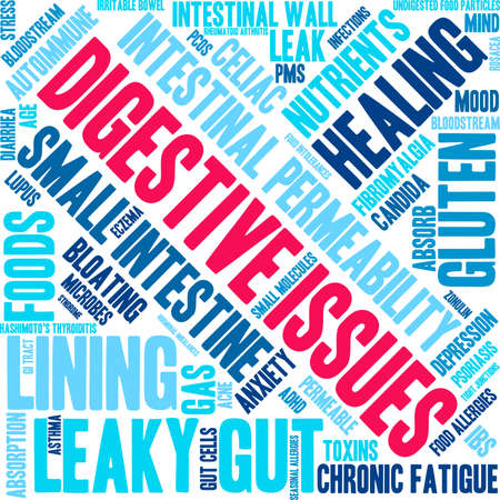 Digestive Issues word cloud on a white background.のイラスト素材