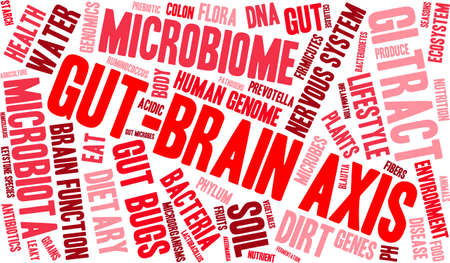 Gut-Brain Axis word cloud on a white background.のイラスト素材