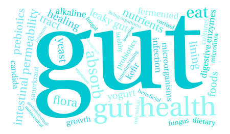 Gut word cloud on a white background.のイラスト素材