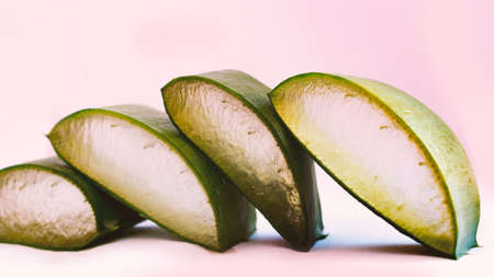 Photograph of cut aloe vera with white background.の写真素材