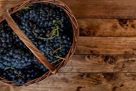 Wicker basket full of wine grapes on a rustic pine wood table.