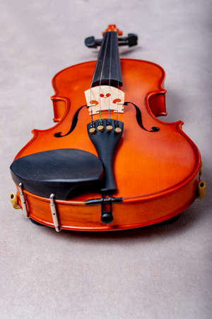 Old oak wood violin and a white background. Image in vintage tone.の写真素材