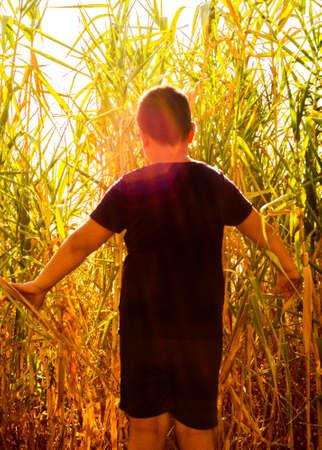 Child exploration concept. Child entering a leafy place to explore.の写真素材