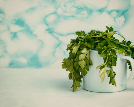 White tin cup with blue rim, with fresh parsley inside, placed on a white table with blue background.の写真素材