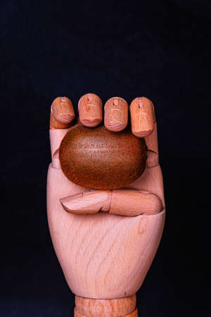 Wooden hand holding a kiwi with the palm facing and with the black background.の写真素材