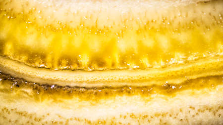 Close-up detail of the inside of a banana, where the interior is perfectly observed.の写真素材