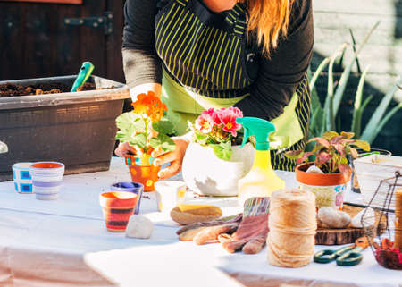 Home gardening concept. Blonde woman practicing gardening at home.
