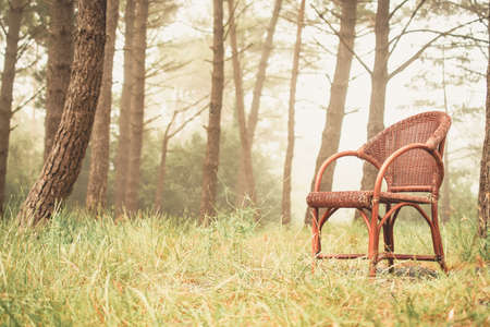 Red chair placed in the middle of the forest with trees half covered by fog.の写真素材