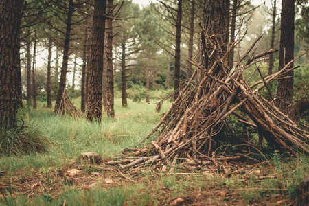 Survival hut made of branches in the middle of the forest.の写真素材