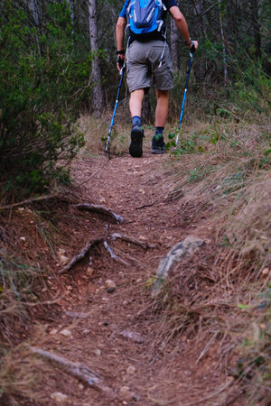 Feet of a hiker walking with the sticks.の写真素材
