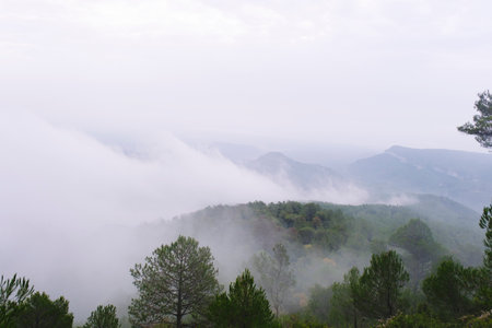 Mountain landscape with mist covering everything.の写真素材