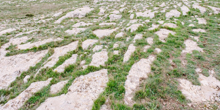 Grass floor and rocks on the mountain.の写真素材