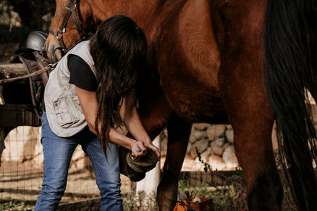 Brunette woman cleaning the hooves of a brown horse.の写真素材