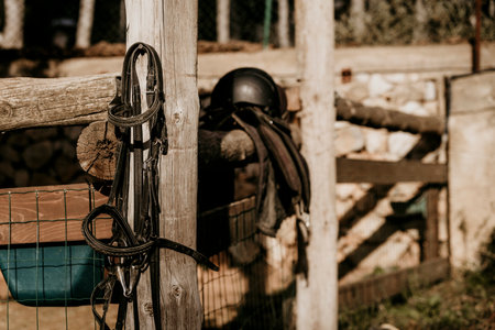 Horse saddle placed on top of a wood.