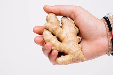 Close up of a ginger root being held in hand and against a white background.の写真素材