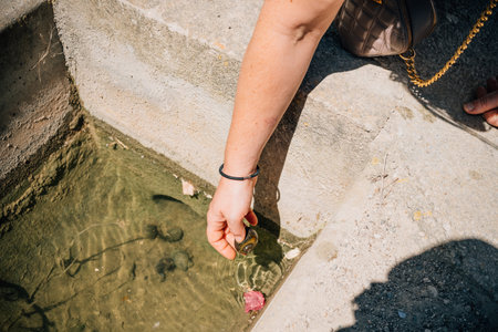 Woman catching a snail. Invasive species in the river.の写真素材