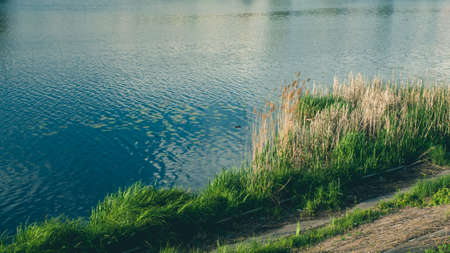 Overgrown river. Natural river and scenic viewの写真素材