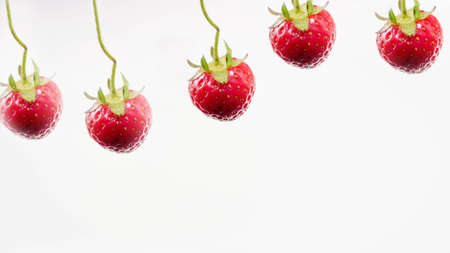 Strawberry close-up, on a white background