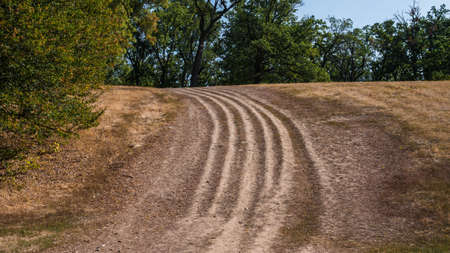 Nature with a path and trees, a road without asphalt with grassの写真素材