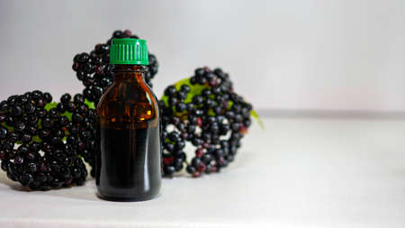 Medicinal product on elderberries, ripe elderberries with a jar on herbs on a white backgroundの写真素材