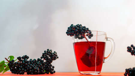 Healing tea from black elderberries, homeopathy, red hibiscus tea copy space.の写真素材