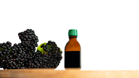 Healing black berry homeopathy, elderberry.の写真素材