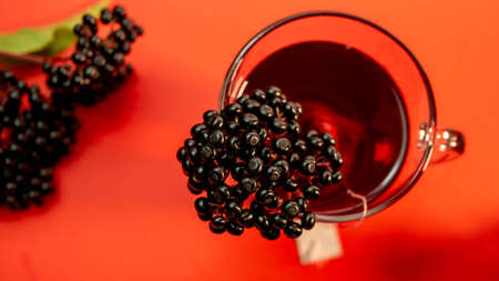Herbal tea natural homeopathy, elderberry in the form of tea.
