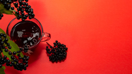 Natural herbal tea, medicinal from black elderberry berries. Homeopathy herbal tinctureの写真素材