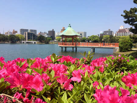 Pagoda on the lakeの素材