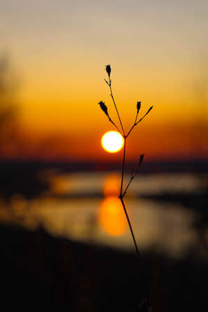 Autumn sunsetの写真素材