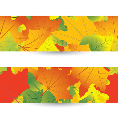 autumn and seamless pattern of leavesのイラスト素材