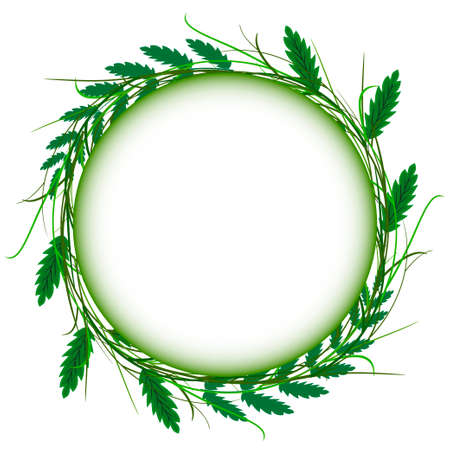 abstract green grass circle frame vector whit backgroundのイラスト素材