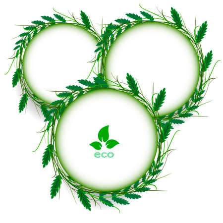 abstract green grass circle frame vector whit backgroundのイラスト素材