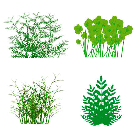 different types of grass to illustrateのイラスト素材