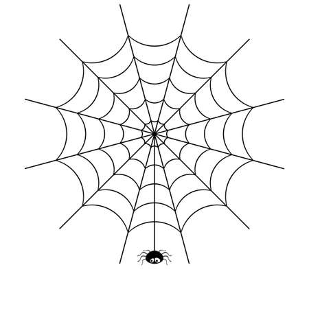 spider webのイラスト素材