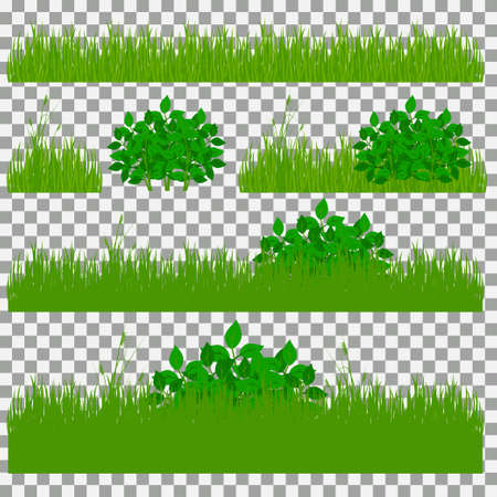 Set of grass vector illustration. Green grass and bushesのイラスト素材