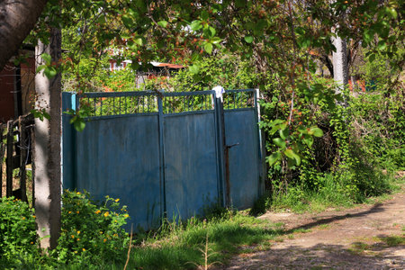 Old metal gate in the garden on the background of green trees.の写真素材