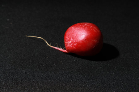 Small red radish on a black background. close-up.の写真素材