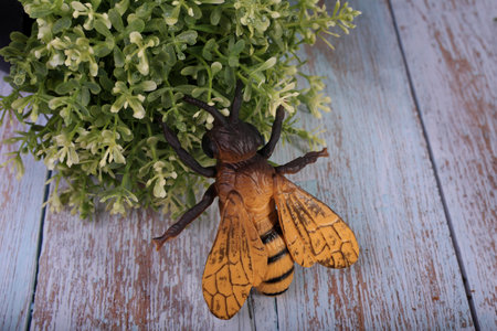 Hornet moth on a wooden background. close-up.の写真素材