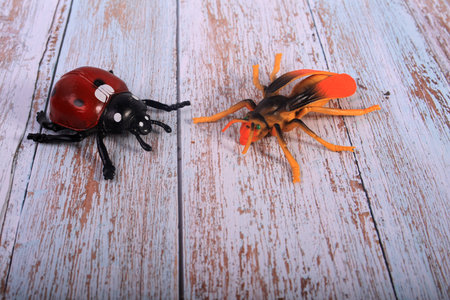 ladybug and ladybug on a wooden background, vintage styleの写真素材