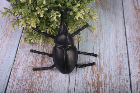 Black beetle on a wooden background. The concept of protection against insects.の写真素材