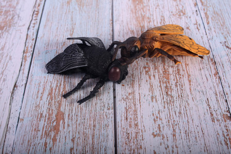 A closeup shot of a halloween spider on a wooden surface bees beetles fliesの写真素材