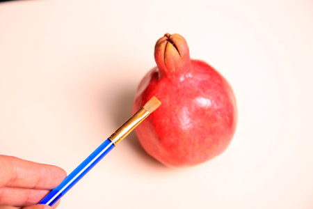 Pomegranate and paintbrush on white background, closeup of photoの写真素材