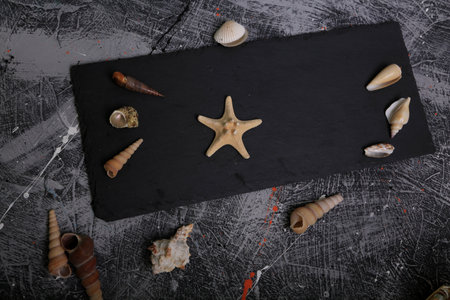 Seashells and starfish on a black slate board.の写真素材