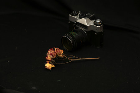 vintage camera and dried roses on black background, still life photography